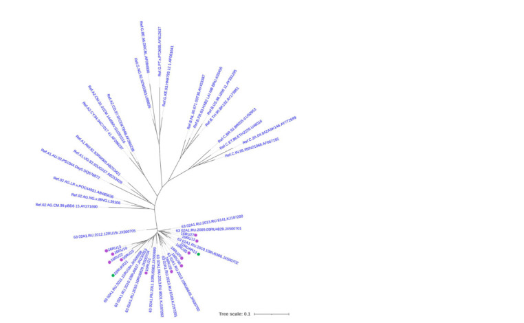 Env-pseudoviruses based on the HIV-1 genetic variant circulating in Siberia.