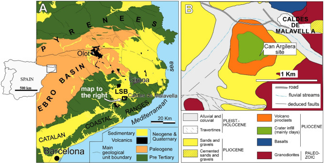 An unexpected Scalopini mole (Talpidae, Mammalia) from the Pliocene of Europe sheds light on the phylogeny of talpids.