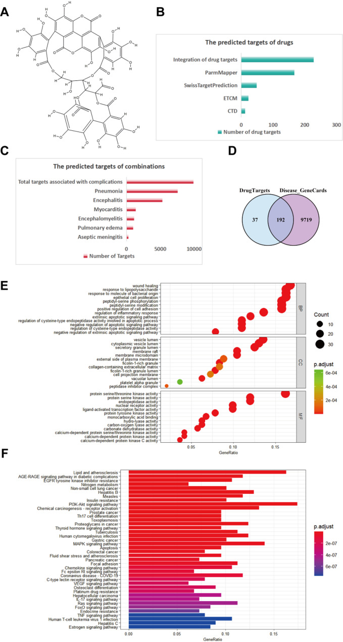 Mechanism research of Punicalagin in treating representative strains of enterovirus A and B types based on systems pharmacology and experimental validation.