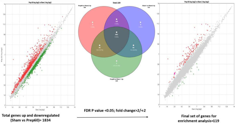 Establishing and Validating a Biomolecular Signature of Ischemia/Reperfusion Injury in a Porcine Pancreas Allotransplantation Model.