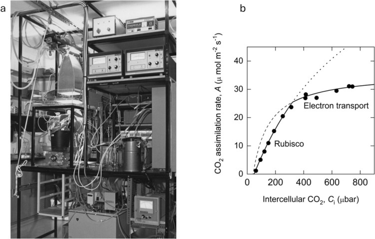 A perspective: some relationships between the biochemistry of photosynthesis and the gas exchange of leaves (Planta 153, 376-387).