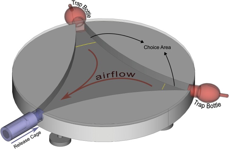 Behavioral responses of Phlebotomus papatasi (Diptera: Psychodidae) to host-derived semiochemicals.