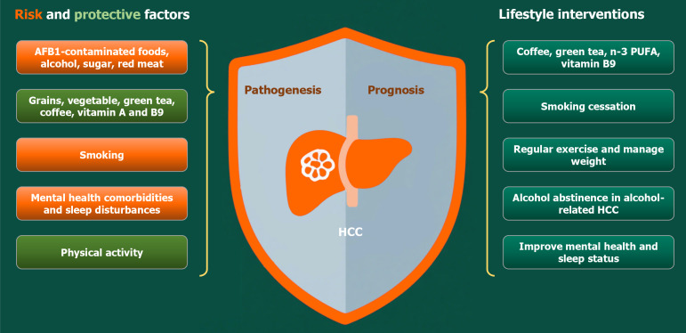Lifestyle factors in hepatocellular carcinoma: From pathogenesis to prognosis.