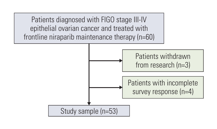 Time-Trend Analysis and Risk Factors for Niraparib-Induced Nausea and Vomiting in Ovarian Cancer: A Prospective Study.
