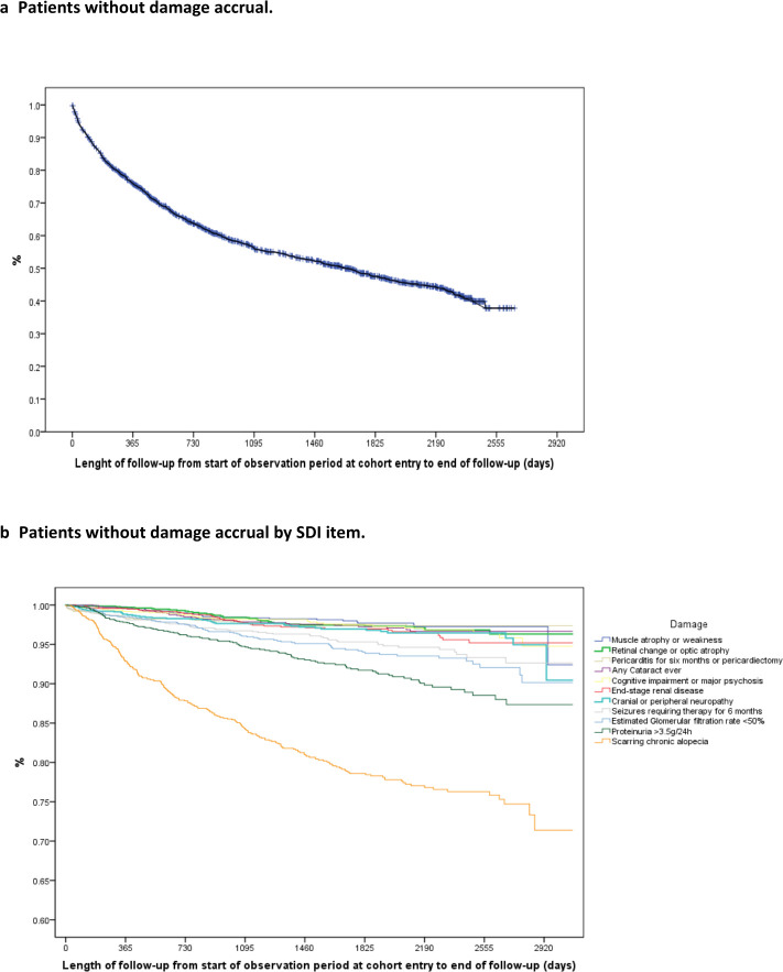 Item-specific factors associated with damage accrual in systemic lupus erythematosus: insights from a multiethnic, multinational Latin American cohort.