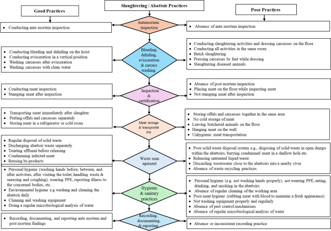African abattoirs: a scoping review of practices, factors influencing implementation of good practices, and recommended solutions for improvement.