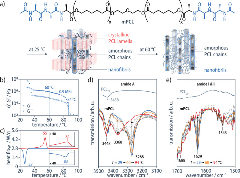 Dynamics of hydrogen-bonded end groups in bulk polymers revealed by solid-state NMR spectroscopy relaxation dispersion experiments.