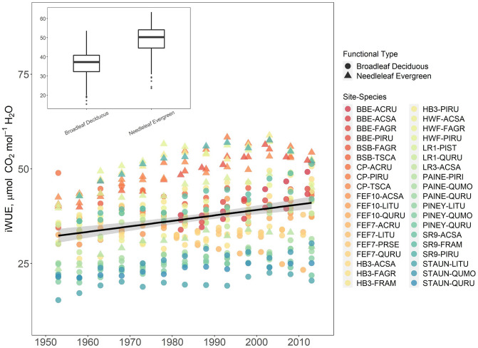Divergent water use efficiency trends among eastern North American temperate tree species.