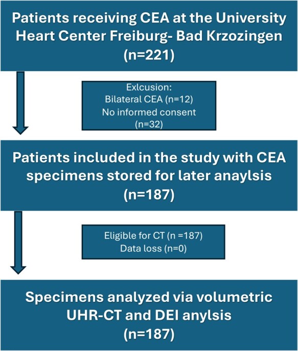 Ultra-high-resolution and dual-energy computed tomography of carotid artery plaques differentiate symptomatic and asymptomatic patients by novel volumetric analysis.