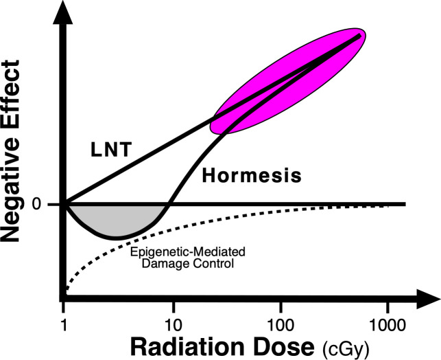 Epigenetics, human imprintome, and chronic diseases.