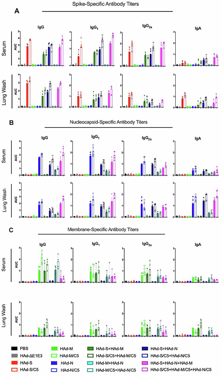 A multi-antigen-based SARS-CoV-2 vaccine provides higher immune responses and protection against SARS-CoV-2 variants.