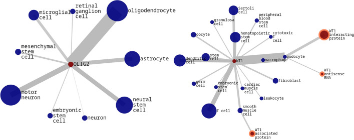 PuMA: PubMed gene/cell type-relation Atlas.