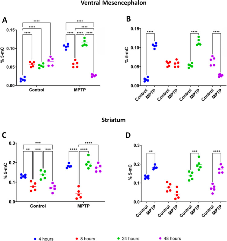 Dynamic Changes in Oxidative Stress and Epigenetic Modifications in the Ventral Mesencephalon and Striatum of MPTP-Treated Mice: Implications for Parkinson's Disease Pathogenesis.
