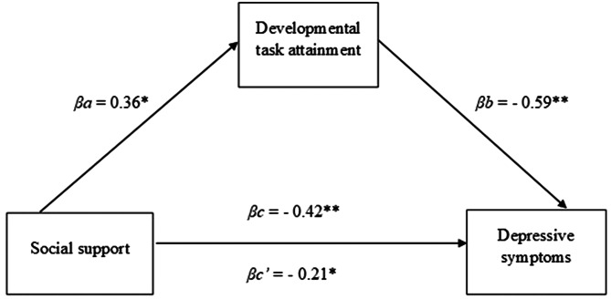 Social support and depressive symptoms in older adults receiving hospice care: the mediating role of developmental task attainment.