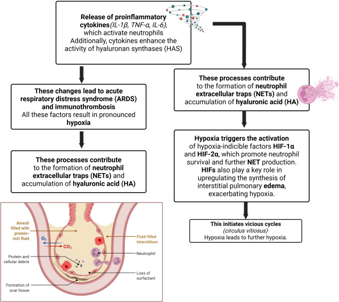 Extracellular DNA, hyaluronic acid, HIF pathways, and LncRNAs as predictive biomarkers of severe COVID-19.