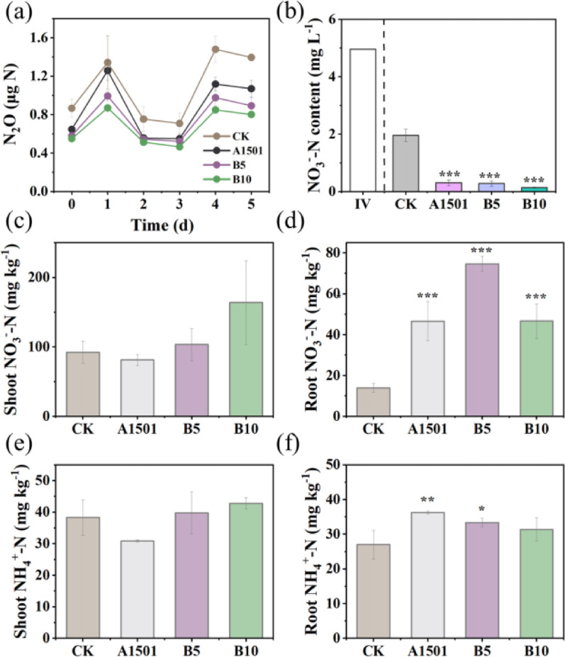 Endophytes Enhance Rice Inorganic Nitrogen Use Efficiency and Mitigate Nitrogen Loss Via Dissimilatory Nitrate Reduction To Ammonium in Paddy Soils.