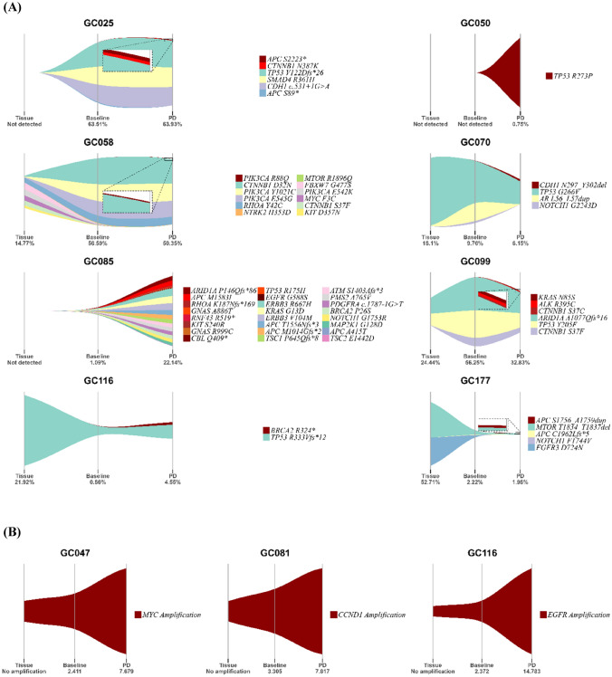Pairwise analysis of plasma cell-free DNA before and after palliative second-line paclitaxel plus ramucirumab treatment in patients with metastatic gastric cancer.