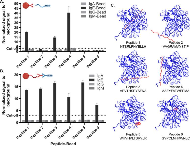 Identification of novel human IgE-binding peptides from a phage display library for total IgE detection.