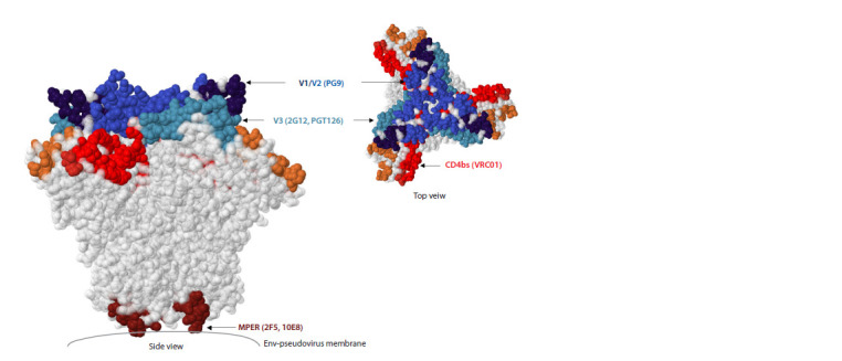 Env-pseudoviruses based on the HIV-1 genetic variant circulating in Siberia.