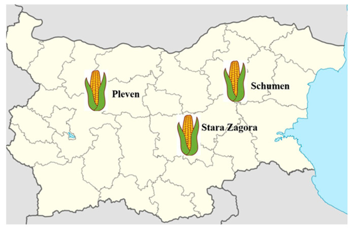 Novel DNA Barcoding and Multiplex PCR Strategy for the Molecular Identification and Mycotoxin Gene Detection of <i>Fusarium</i> spp. in Maize from Bulgaria.