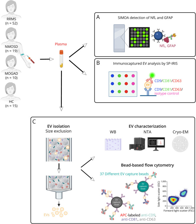 Extracellular Vesicle Marker Changes Associated With Disease Activity in Relapsing-Remitting Multiple Sclerosis.