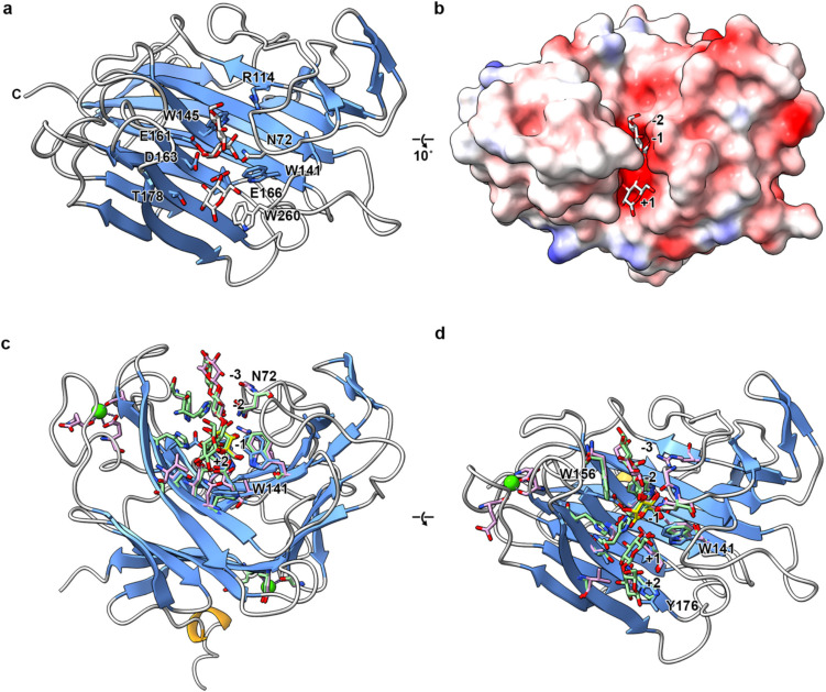 A novel acidic laminarinase derived from Jermuk hot spring metagenome