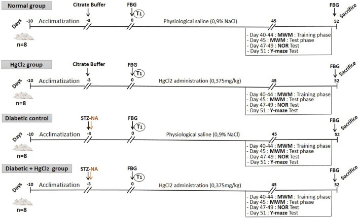 Subchronic effects of HgCl<sub>2</sub> on cognitive function and central inflammation in type 2 diabetic rats: involvement of BDNF and acetylcholinesterase.