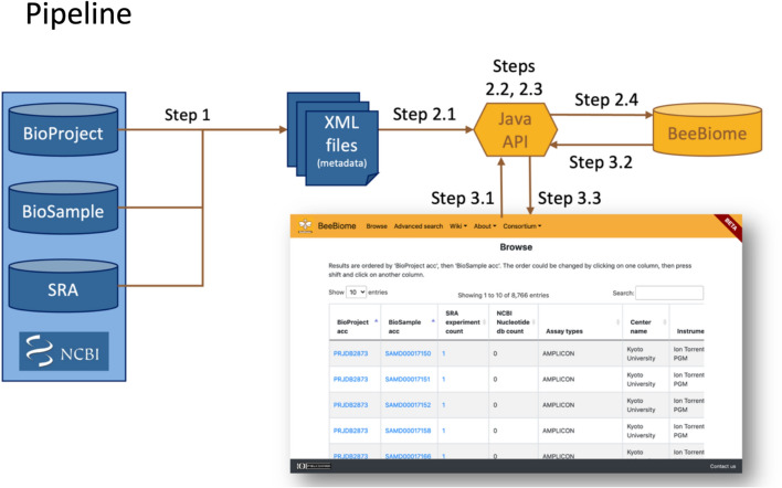 The BeeBiome data portal provides easy access to bee microbiome information.