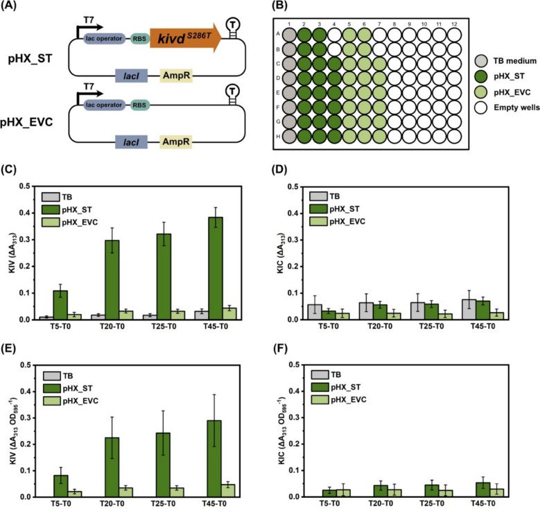 Directed evolution of α-ketoisovalerate decarboxylase for improved isobutanol and 3-methyl-1-butanol production in cyanobacteria