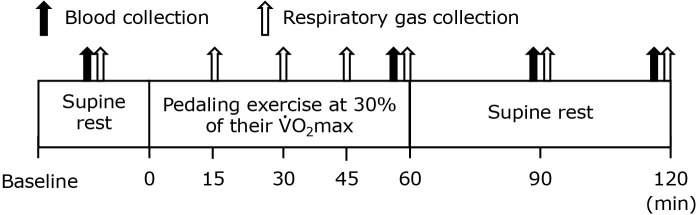 Seven days of piceatannol supplementation exerted no effect on fat metabolism at rest, during and after exercise.