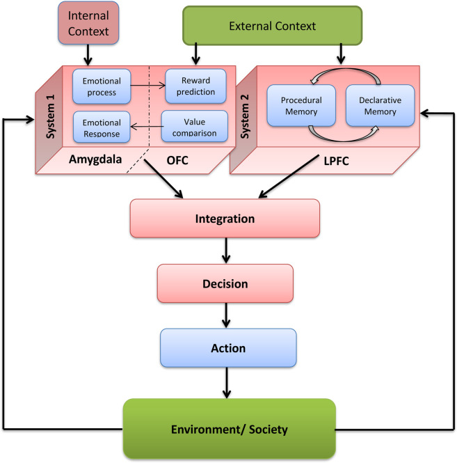 Circular causality in volition.