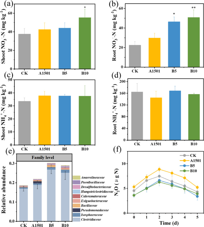 Endophytes Enhance Rice Inorganic Nitrogen Use Efficiency and Mitigate Nitrogen Loss Via Dissimilatory Nitrate Reduction To Ammonium in Paddy Soils.