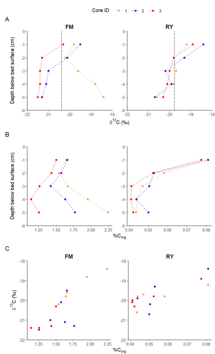 Mixed provenance of organic carbon in Northeast Atlantic temperate intertidal seagrass sediments.