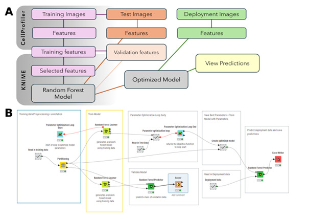 Using Beads as a Focus Fiduciary to Aid Software-Based Autofocus Accuracy in Microscopy.