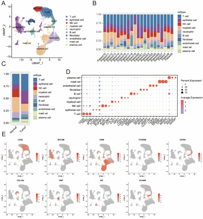 Decoding epithelial-fibroblast interactions in lung adenocarcinoma through single-cell and spatial transcriptomics.