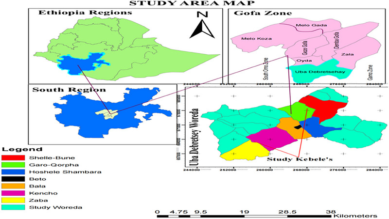 Isolation, Identification, and Antibiogram Characteristics of Staphylococcus aureus From Dairy Cows Kept Under Extensive Management System, in the Uba DebreTsehay District of Southern Ethiopia.
