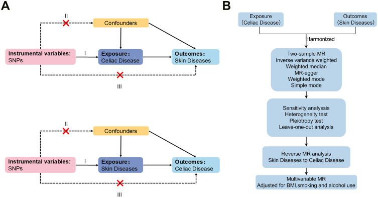 Celiac Disease and Skin Diseases: A Bidirectional Mendelian Randomization Study.