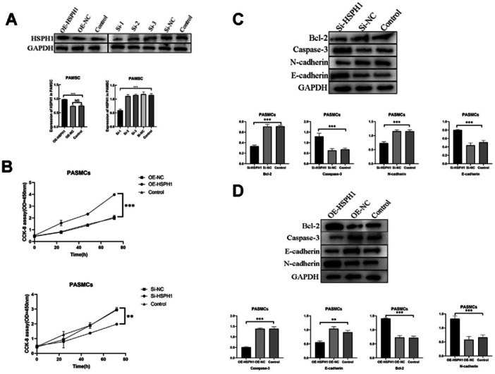 Bioinformatics Analysis Identifies a Potential Key Gene in the Pathogenesis of Pulmonary Hypertension-HSPH1.