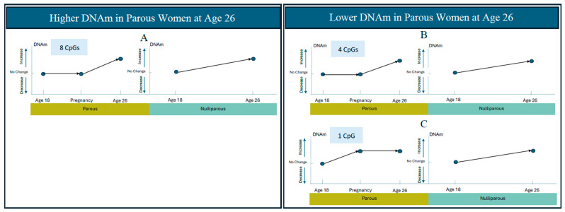 Trends in DNA Methylation over Time Between Parous and Nulliparous Young Women.