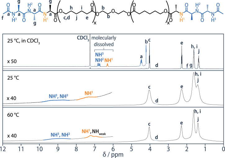 Dynamics of hydrogen-bonded end groups in bulk polymers revealed by solid-state NMR spectroscopy relaxation dispersion experiments.