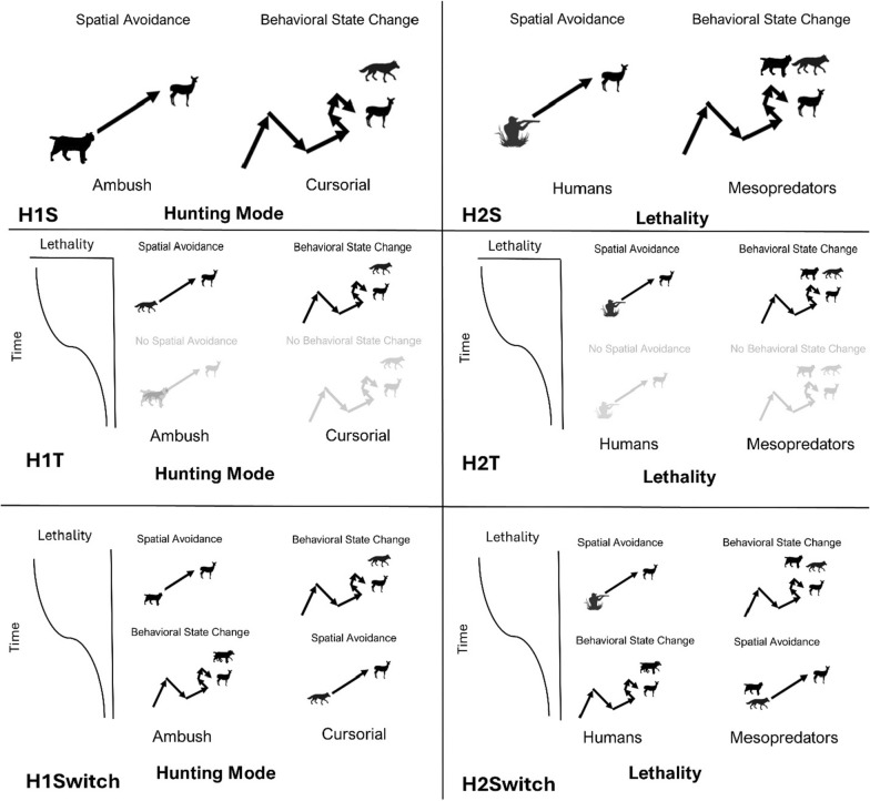 When, where, and how prey pair antipredator behaviors to natural and anthropogenic mortality risks.