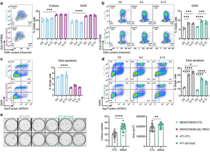 Loss of IL13RA2 promotes metastatic tumor growth in triple-negative breast cancer via increased AKT and NF-κB signaling.