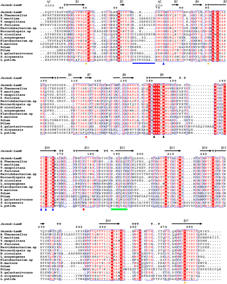 A novel acidic laminarinase derived from Jermuk hot spring metagenome