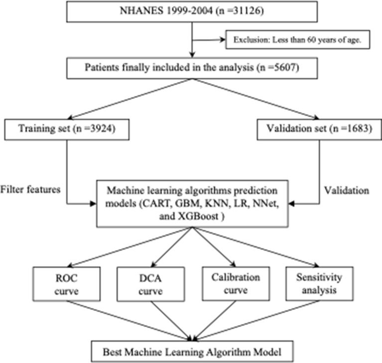 Machine learning-based online web calculator predicts the risk of sarcopenic obesity in older adults.