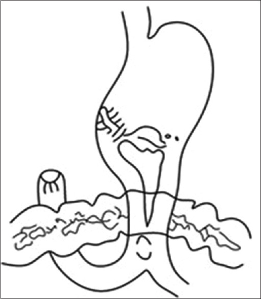 Abstract Image
