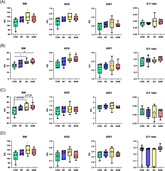 Probiotic supplementation regulated swine growth performance, fecal odor reduction and carcass characteristics by modulating intestinal microbiome.
