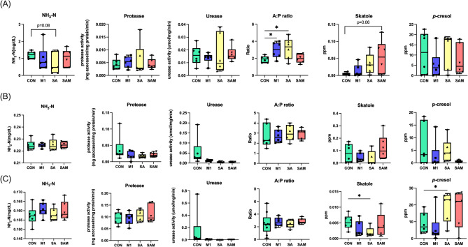 Probiotic supplementation regulated swine growth performance, fecal odor reduction and carcass characteristics by modulating intestinal microbiome.