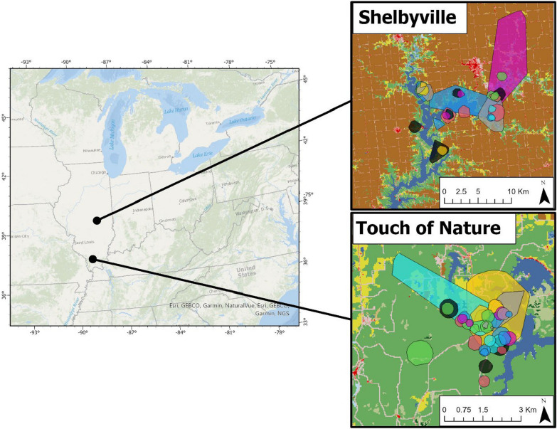 When, where, and how prey pair antipredator behaviors to natural and anthropogenic mortality risks.