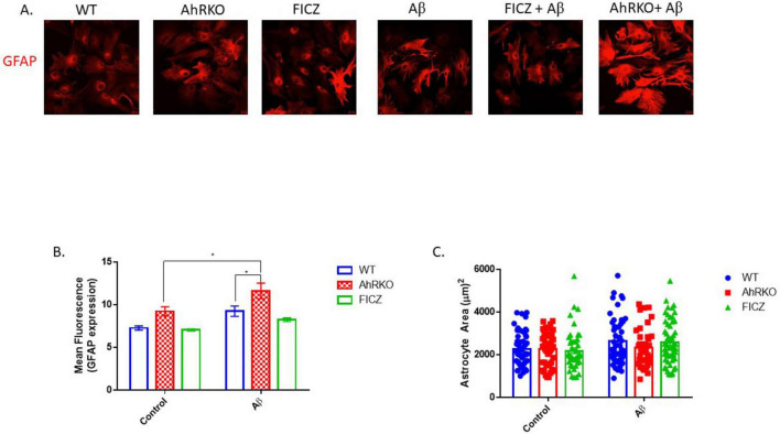 AhR regulation of amyloid beta-induced inflammation in astrocyte cells.