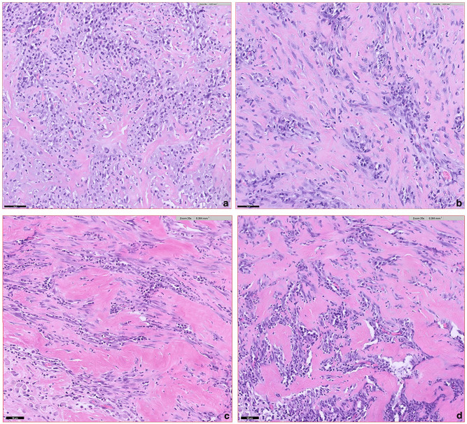 Mediastinal eosinophilic sclerosing fibroplasia associated with <i>Staphylococcus aureus</i> infection in a cat.